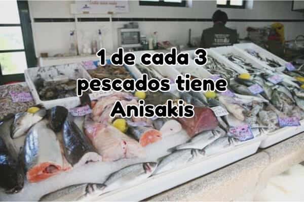 anisakis pescado español
